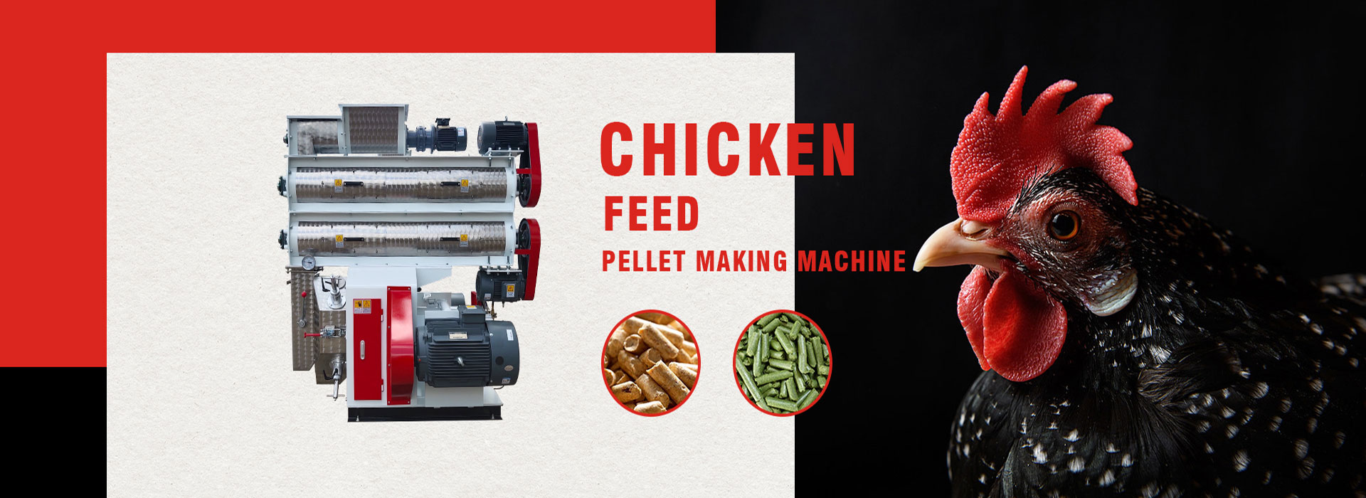 Chicken feed pellet machine